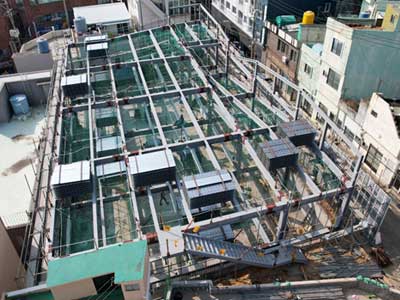 ½ÅÆò°ø¿µÁÖÂ÷Àå ö°ñ